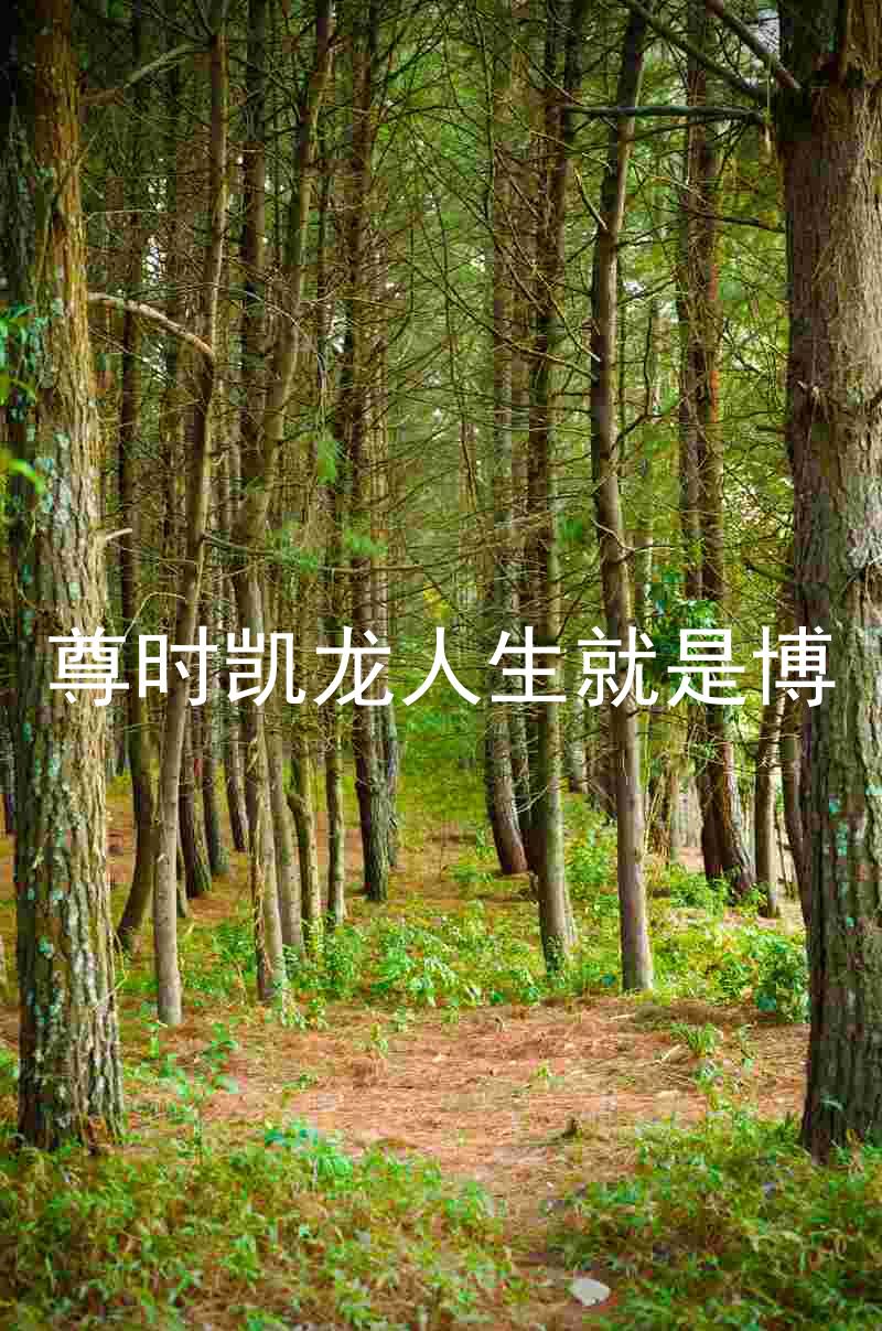 尊时凯龙人生就是博