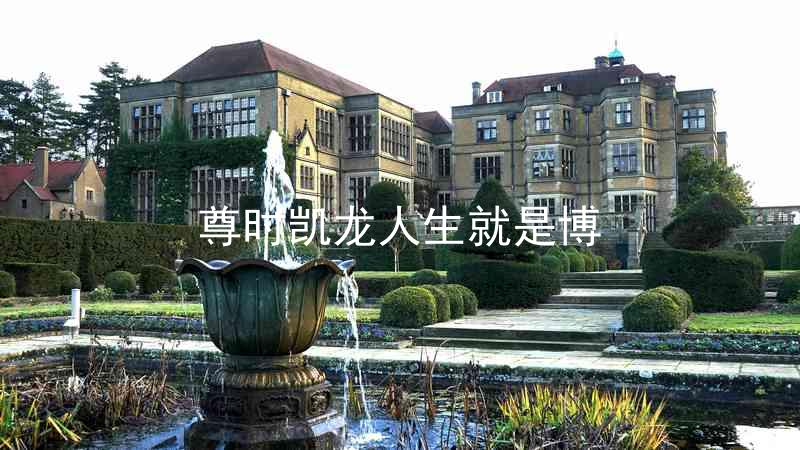 尊时凯龙人生就是博