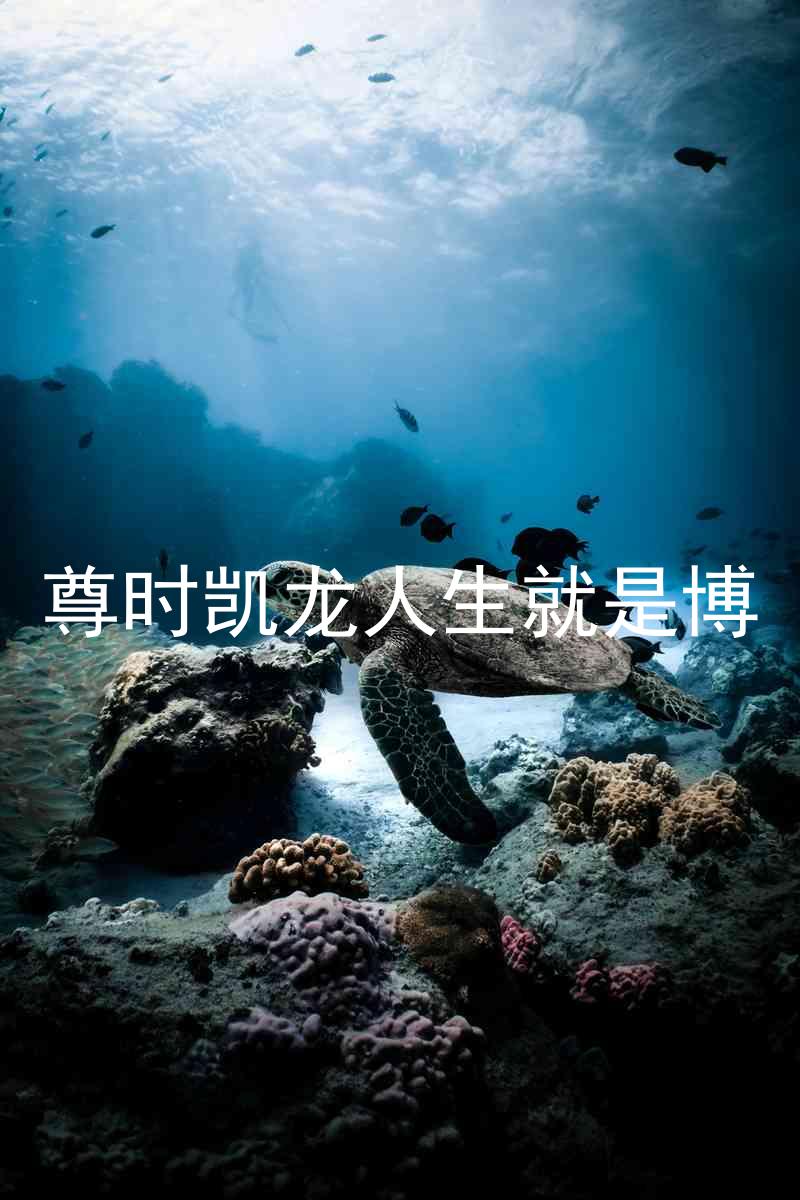尊时凯龙人生就是博